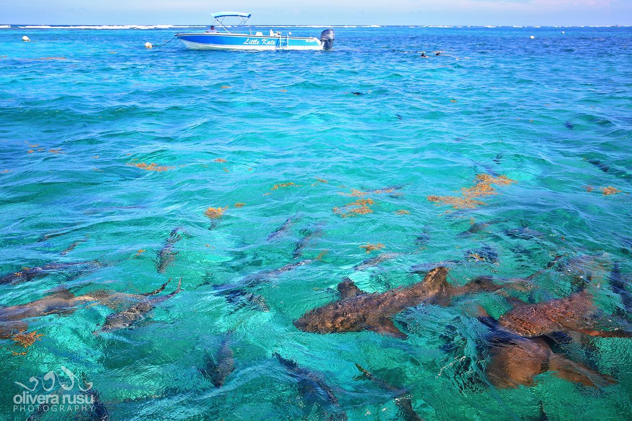 Cayo Espanto San Pedro  Exterior foto